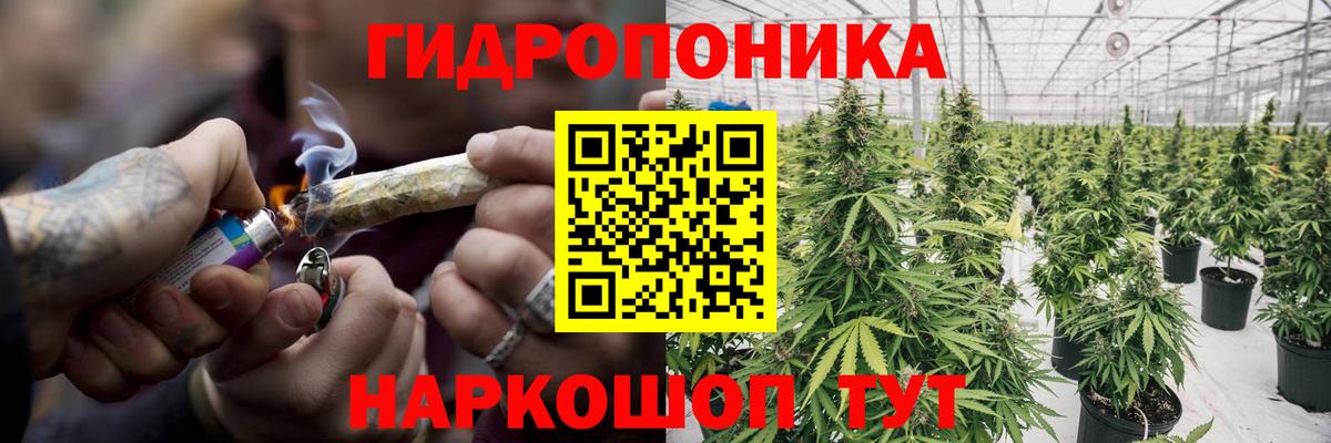 Урюпинск  МАРИХУАНА Bruce Banner  МАРИХУАНА гибрид  Вход с VPN 